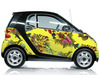 Cropped_100_smart-car_20fallen_20fruit_206