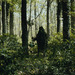 Cropped_75_michelangelo-frammartino-alberi-still