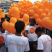 Cropped_75_india_3