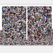 Cropped_75_birdmag-diptycht-v2m