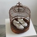 Cropped_75_caging_20the_20song_20bird