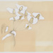 Cropped_75_entrapment
