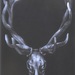 Cropped_75_stag