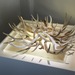 Cropped_75_kindling