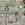 Cropped_25_14402