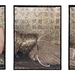 Cropped_75_le4