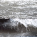 Cropped_75_wave2