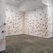 Cropped_75_lc_2013_irreversible_at_skny_install_tomates_11