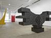 Cropped_100_lc_2013_irreversible_at_skny_install_71