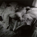 Cropped_75_eg5