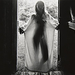 Cropped_75_eg