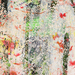 Cropped_75_1