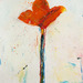 Cropped_75_asg_rba660