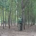 Cropped_75_lb11
