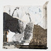 Cropped_75_4164_a_2013112