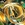 Cropped_25_14449