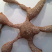Cropped_75_6970315922_860ae89309