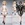 Cropped_25_14196