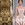 Cropped_25_14194