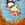Cropped_25_14341