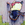 Cropped_25_14339