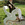 Cropped_25_14116