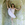 Cropped_25_14115