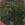 Cropped_25_14113