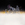 Cropped_25_13870