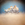 Cropped_25_13872