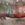 Cropped_25_14494