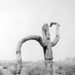 Cropped_75_proportional_710_useless_struggle_2011