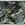 Cropped_25_14111