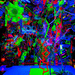 Cropped_75_7088110735_a2cc6ab44f_z