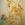 Cropped_25_13961