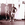 Cropped_25_13954