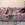 Cropped_25_13740