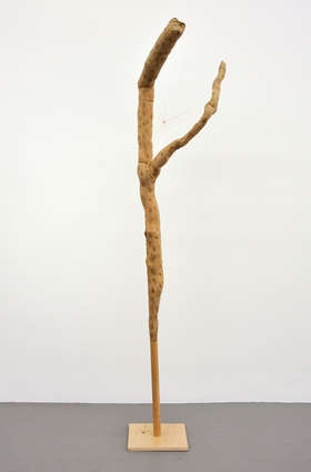 Proportional_280_13693
