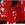 Cropped_25_13547