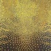 Cropped_75_proportional_710_fennell
