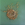 Cropped_25_13405