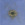 Cropped_25_13402