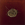 Cropped_25_13399