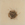 Cropped_25_13398
