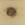 Cropped_25_13397