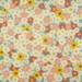 Cropped_75_proportional_710_lori_kirkbride_s_daisy