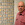 Cropped_25_13589