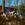 Cropped_25_13586