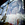 Cropped_25_13584