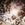 Cropped_25_13357